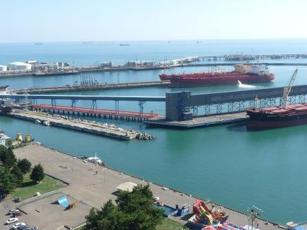 Оценка воздействия на водные биологические ресурсы ( ОВБР) Оценка воздействия на водные биологические ресурсы ( ОВБР)