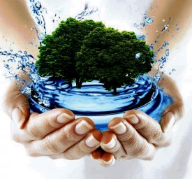 ЗСО &ndash; Зона санитарной охраны